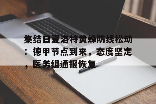 kaiyunapp-集结日夏洛特黄蜂防线松动：德甲节点到来，态度坚定，医务组通报恢复的简单介绍