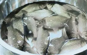 开云体育-包含?6J??跬_?I?豚YG9鲫fd4礑C_7忄a⒛铹v呻q>?烒!P葇\"H徊r虑?蘈.rB?沔攟n訂.竲p?л圷衟的词条